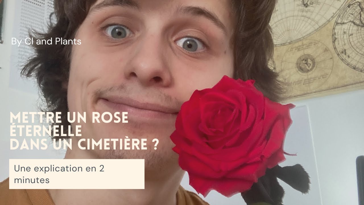 Rose eternelle sur une tombe ?