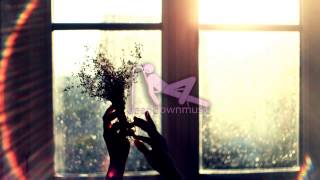 Phaeleh - Distraction (Should've Been Me) (Jaymes Young Mix)
