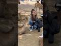 日本での優しい愛 🦌💕 | 奈良公園の魔法の鹿の旅 Vlog 🇯🇵🎌💖✨🌸 心に触れる体験 💕🦌🎌🌸
