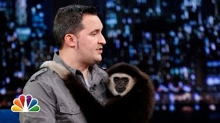 Jeff Musial: Otters, Gibbon and Water Buffalo, Part 2 (Late Night with Jimmy Fallon)