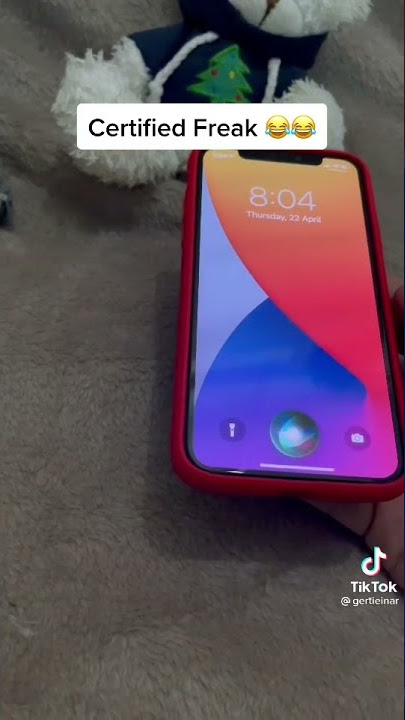 Siri moans after being charged
