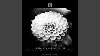 Tatano (Original Mix)