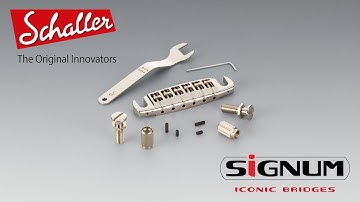 Concept and features of the Schaller Signum adjustable wraparound locking bridge