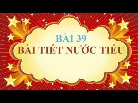 Sinh học lớp 8 - Bài 39 - Bài tiết nước tiểu