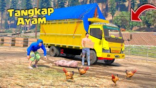 Truk Oleng Bawa Ayam Buat Dijual ke Kota GTA 5 Indonesia