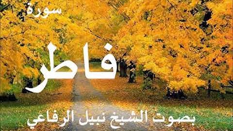 035  سورة فاطر بصوت الشيخ نبيل الرفاعي