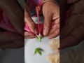 Dissection of hibiscus flower ( without bio lab) Part-6