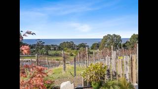 Roberts Real Estate Tasmania - 40 Harveys Farm Road, Bicheno Tas 7215