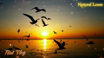 My First Vlog 2025 😍