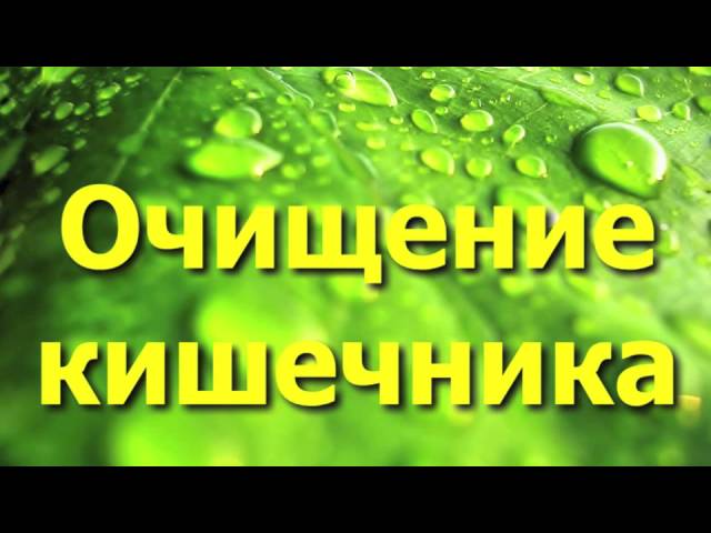 Очищение организма при помощи семени льна - профилактика и лечение многих заболеваний.