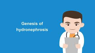 How to diagnose hydronephrosis with the help of ultrasound