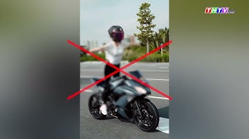 Lý do người mẫu Ngọc Trinh bị khởi tố, bắt tạm giam