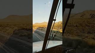 Дорога в Лас Вегас