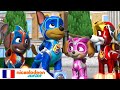 Paw Patrol : La Pat' Patrouille | La météorite manquante | Nick Jr.