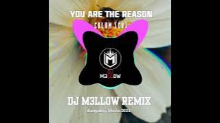 YOU ARE THE REASON_-_Calum Scot (DJ M3LLOW REMIX)