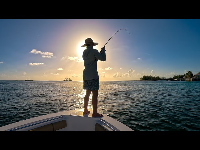 bimini bay fishing reels 2017 Florida Products Bahia 3000 W/ Power Handle The machined We Caught An INSANE Variety