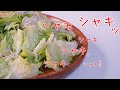 レタスレシピ。包丁いらずのちょれぎ風サラダ【気になる新常識】