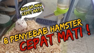 Video Cara Merawat Hamster Campbell Yang Baru Melahirkan