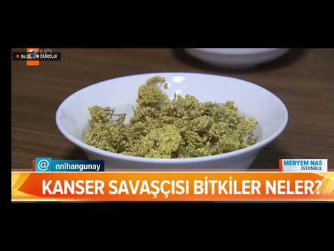 Video: Kanser Yaşamı Veya Onkolojinin Psikosomatikleri