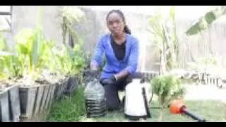 Akamaro k'amaganga y'inkwavu hamwe nukuntu akoreshwa