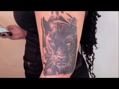 Panther by Matthew Daiz : Tattoos