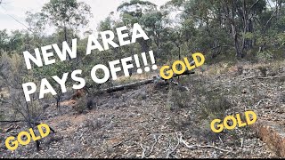 Finding GOLD! GPX 6000. New area pays off. Old miners hut site close by.