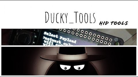 How to launch any payload with the first P4wnP1