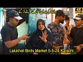 Lalukhet Birds Market 5-5-24 Karachi | لالوکھیت برڈز مارکیٹ بری طرح متاثرسیلر کے طوطے آُڑ گئے
