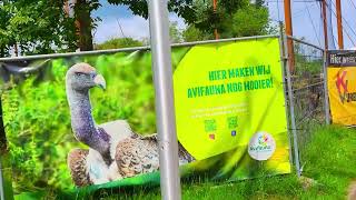 Cultural exchange between different countries, live music, exotic birds, vultures