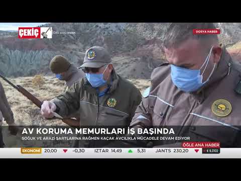 Video: Kamçatka'da Kaçak Avcılarla Nasıl Savaşıyorlar?