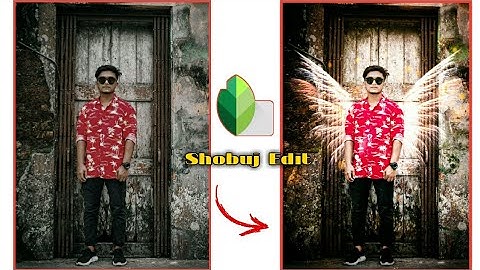 Snapseed Fantasy Editing Tricks | Snapseed New Editing Tricks  | Best Color Effect Android