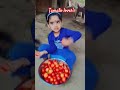 Tamato lover's #youtubeshorts #tamator #shorts