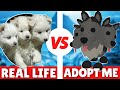 😍 *All New 🎃 Pets* Adopt Me Pets In Real Life 😍 | Part 3 | LankyBox Reacted To This Video