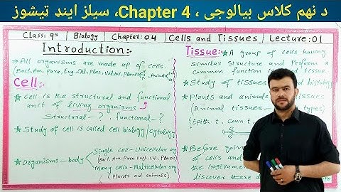 Cells and Tissues Class 9 Biology Chapter 4 Introduction in Pashto | What is Cell ? Sabar khan lect