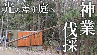 #12 再びの【伐採】もっと光の差す庭へ 家スレスレを倒す見事な職人技