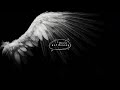 Antihoney Dove Slowed N Reverb Antihoney Dove Slowed N Reverb