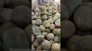 Gummade Kaya pumpkin Bowenpally vegetable marketfood shortvideo trending videos viral vlogs