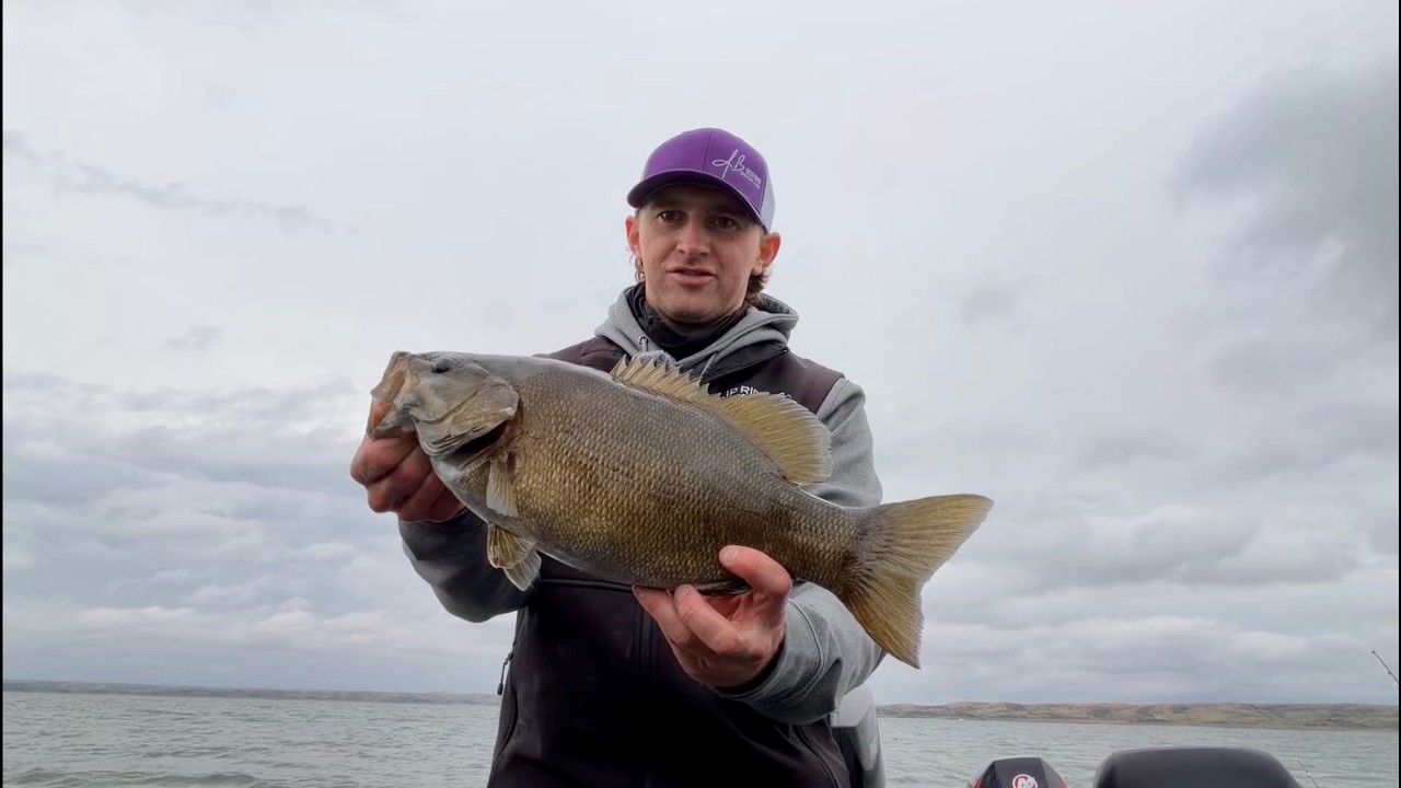 Hammering Fall Lake Oahe Smallmouth Bass