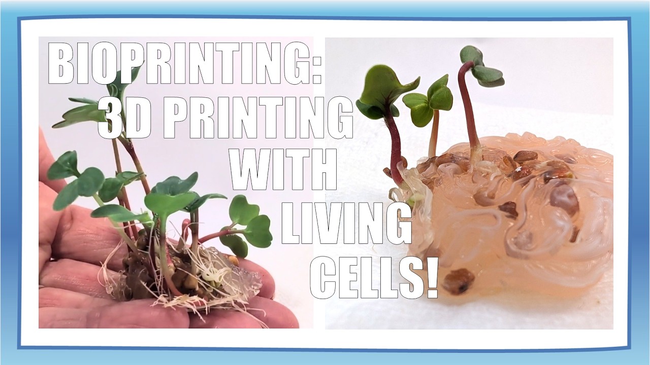 3D-биопечать с использованием семян растений | Научный проект