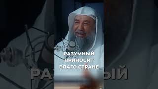 Разумный приносит благо стране | Шейх Cулейман ар-Рухейли