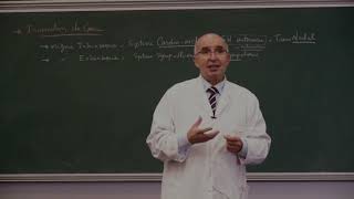 COURS ANATOMIE 9: Cœur partie 3(FIN)