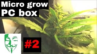 My best PC grow. My first Real micro grow and it's going very good ...