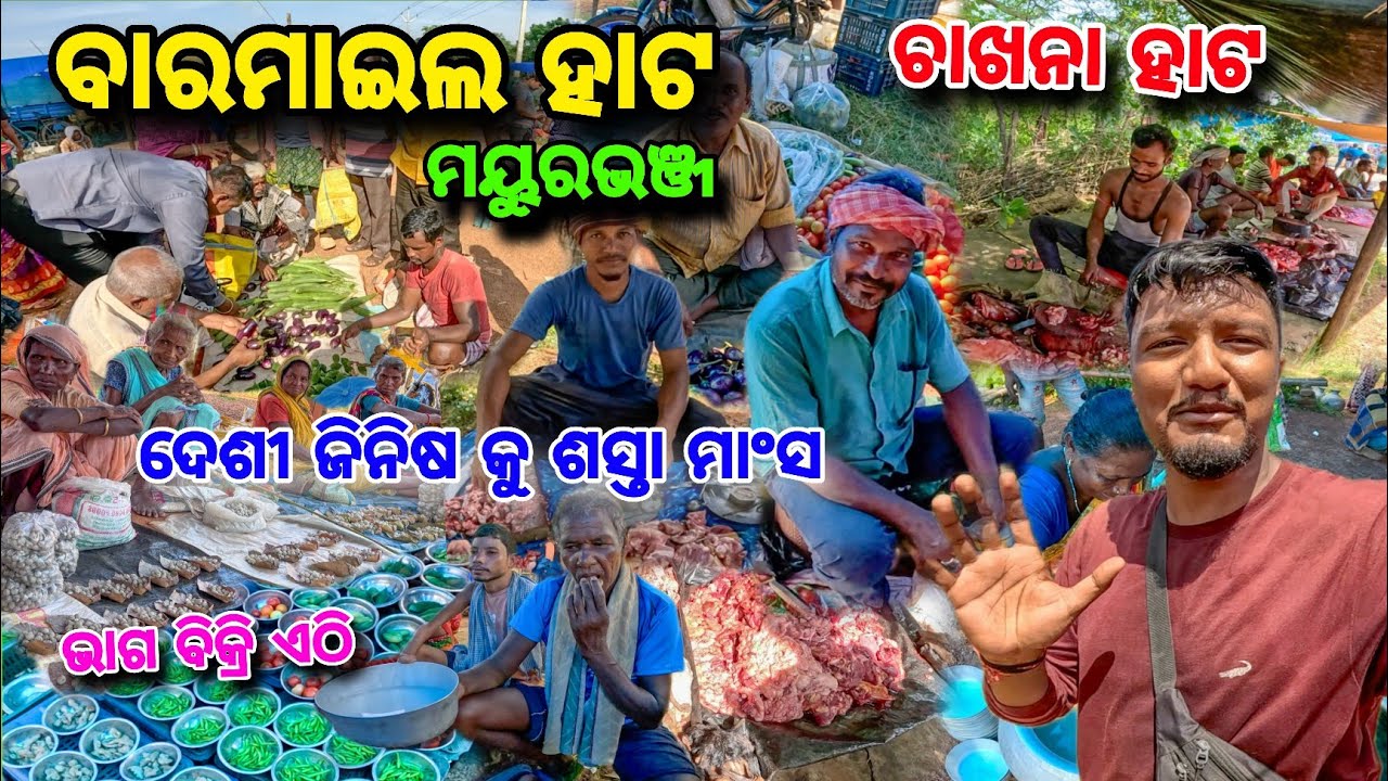 ଚିତ୍ରଡା ପାଖ ଦେଶୀ ହାଟ 😱 Baramile Hata 🔥 ଦେଶୀ ଚାଖନା🐟 ହାଣ୍ଡିଆ କୁ ଶସ୍ତା ମାଂସ🍗 Tribal Market Mayurbhanj 