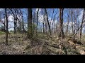 1 acre land clearing for a homesite