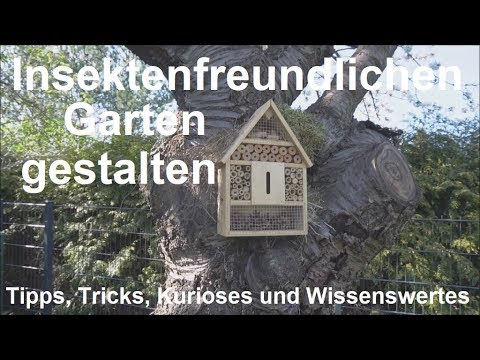 New Update Insektenfreundlicher gestalten - Garten Tipps für Vögel Schmetterlinge Bienen Hummeln anlegen