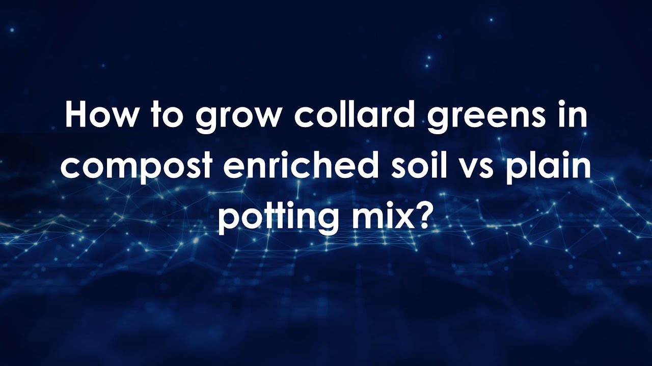 How to grow collard greens in compost enriched soil vs plain potting ...