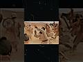 اولائك الذين يسبون عليا ثار الله و عقابه علي يضرغام خضر عباس الإمام علي عليه السلام 