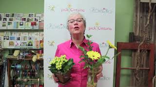 Administrative Professionals' Day 2019