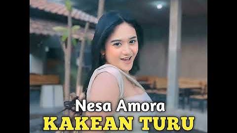Kakean Turu
