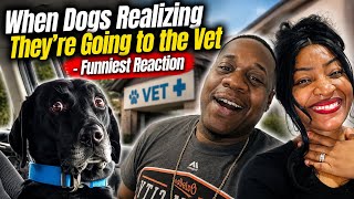 Made Us Want A Pup!!  When Dogs Realize They're Going To The Vet - Funniest Reaction